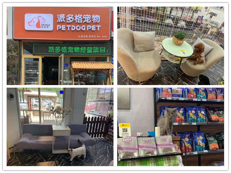 1566353656855213.jpg 微信图片_20190821093857_副本2.jpg
