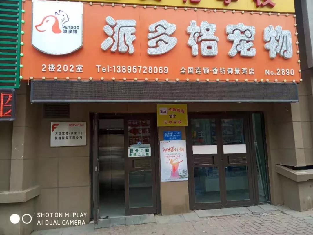 派多格哈尔滨连锁店