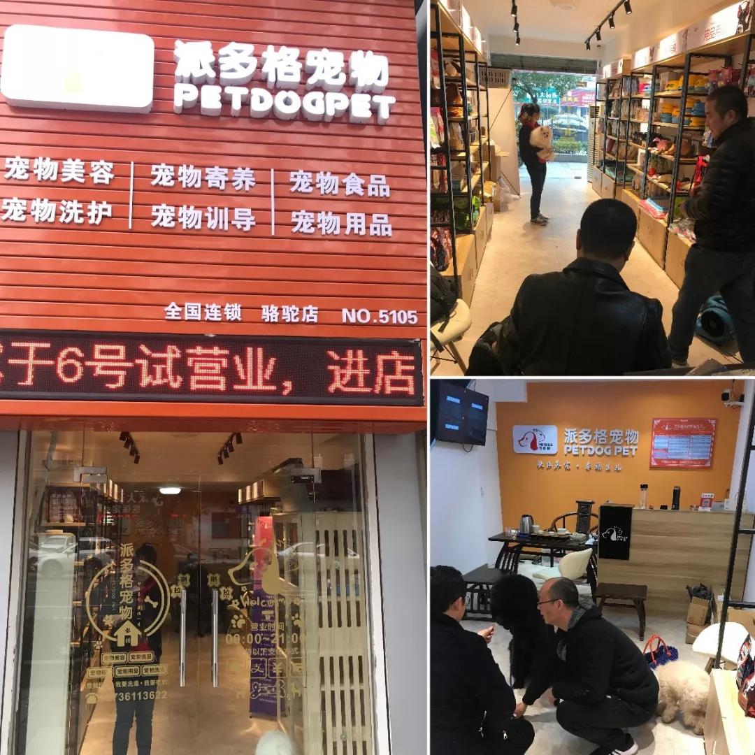 派多格宠物宁波骆驼店试营业