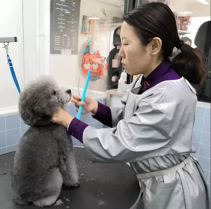 运营督导篇